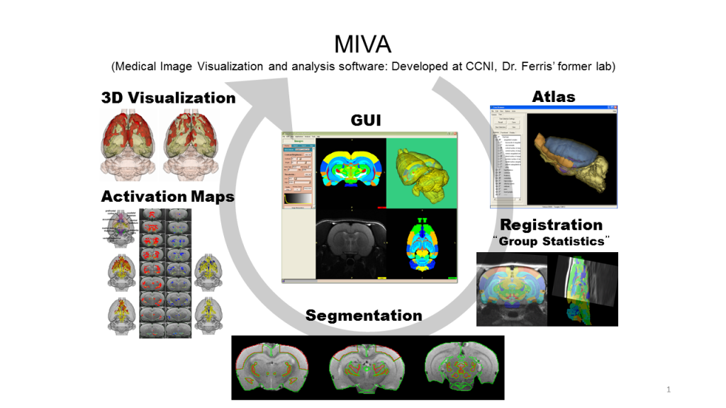 MIVA 