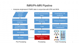 fMRI/PhMRI pipeline