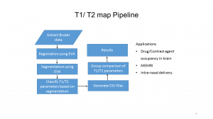 T1 /T2 Mapping