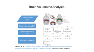 Volumetric Analysis